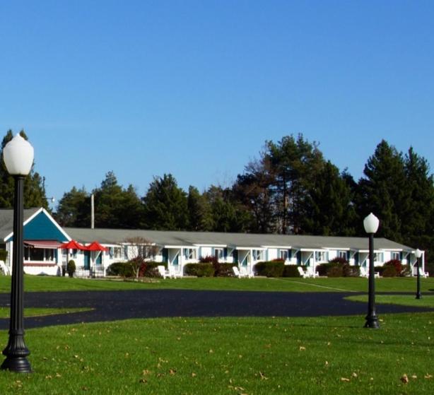 Birds Nest Motel Сканителс Экстерьер фото